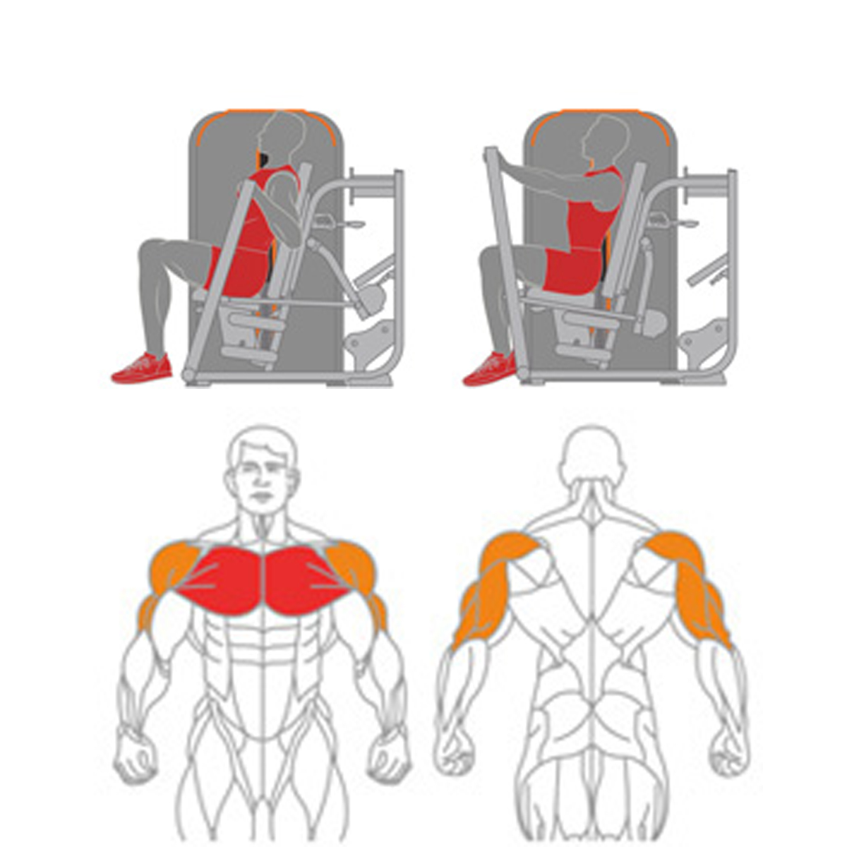 Converging Chest Press