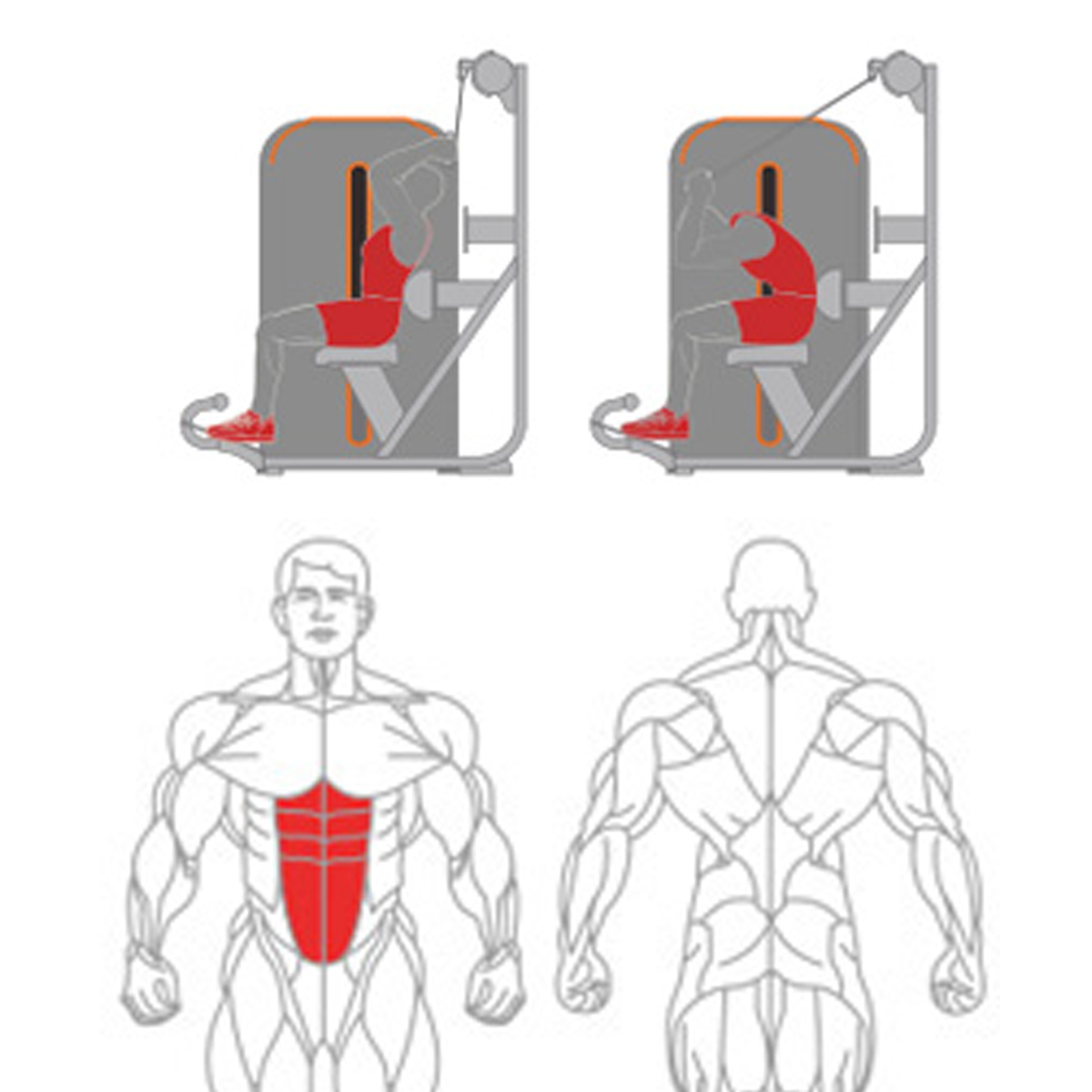  Abdominal Isolator