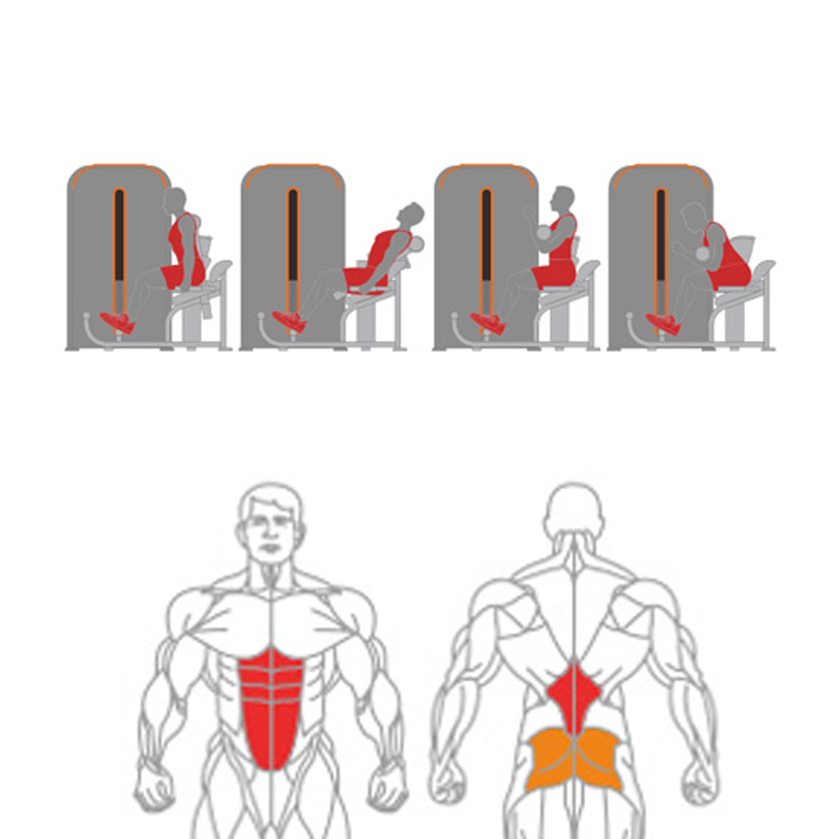 A Abdominal Crunch + Back Extension