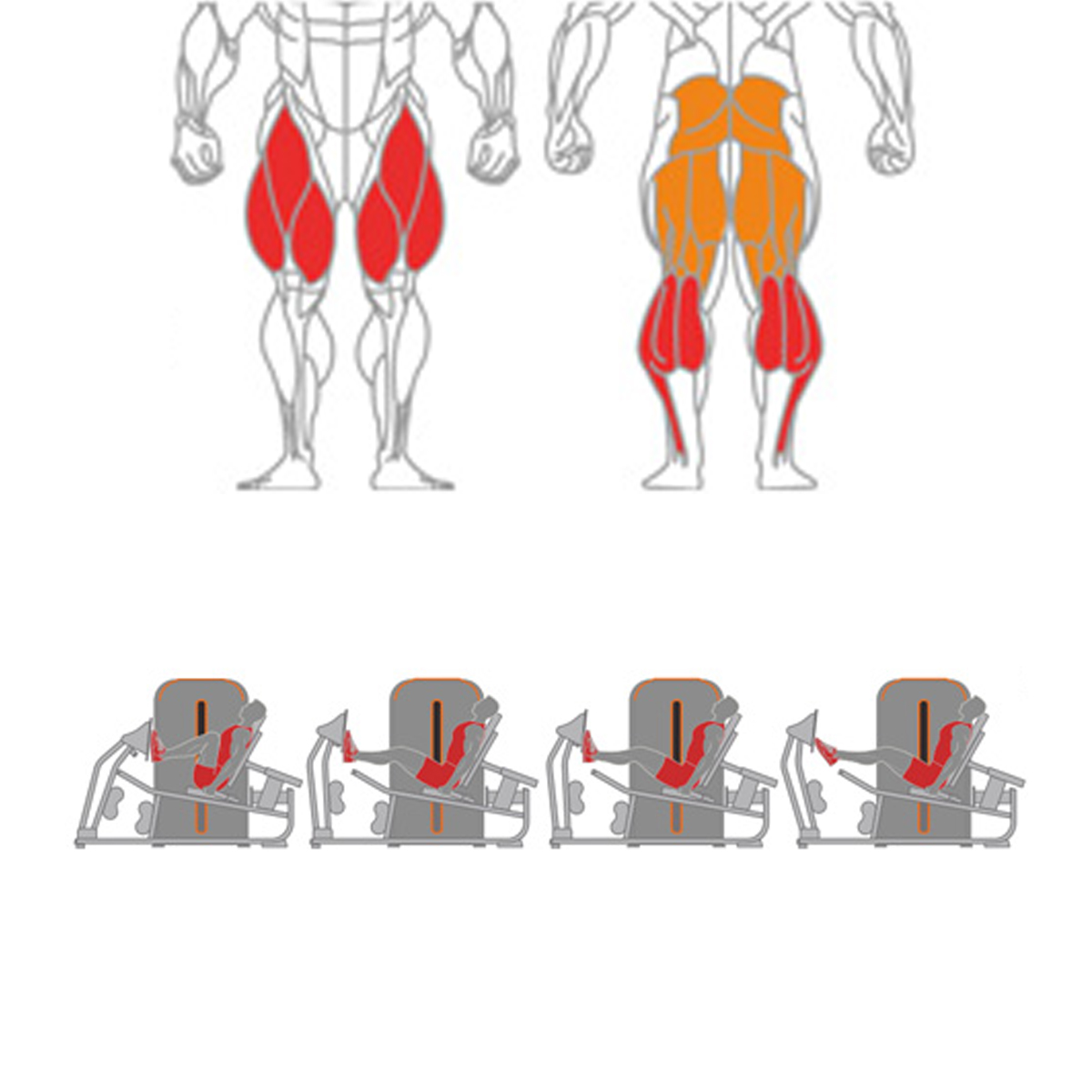 Seated Leg + Calf Press