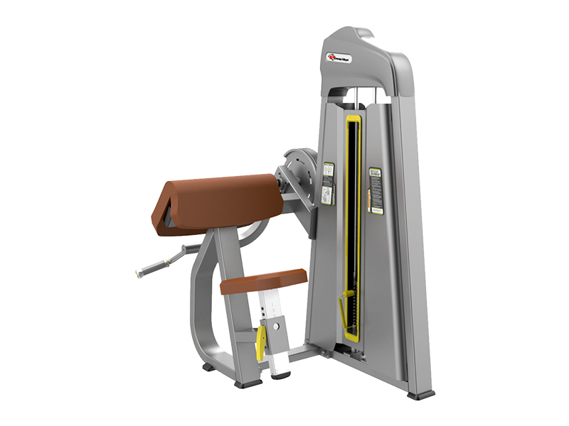 CS-006 - Biceps Curl