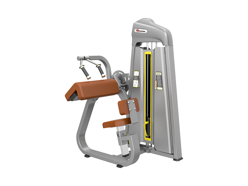 <b>CS-007</b> – Triceps Extension
