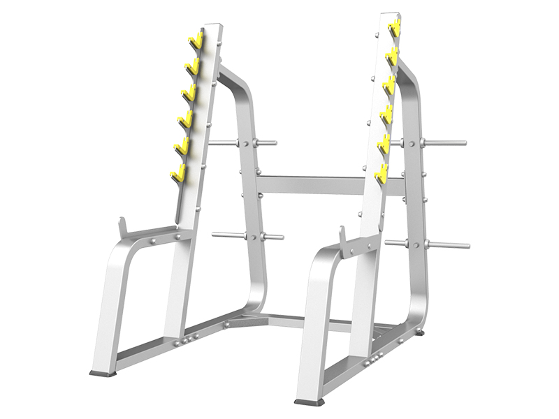 CS-022 Squat Rack