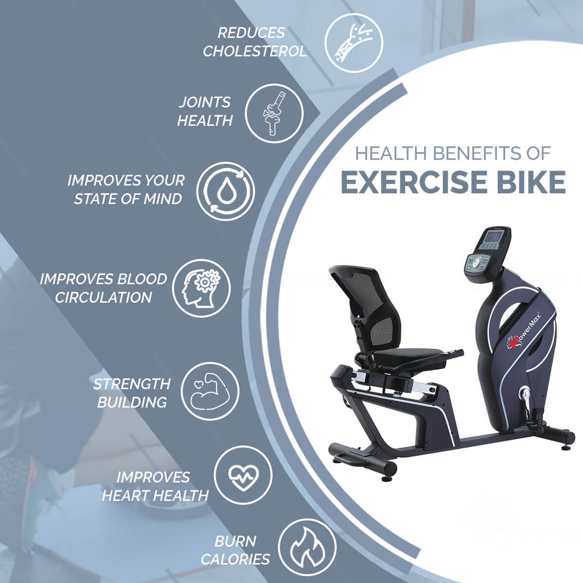 BR-900 Commercial Recumbent Bike