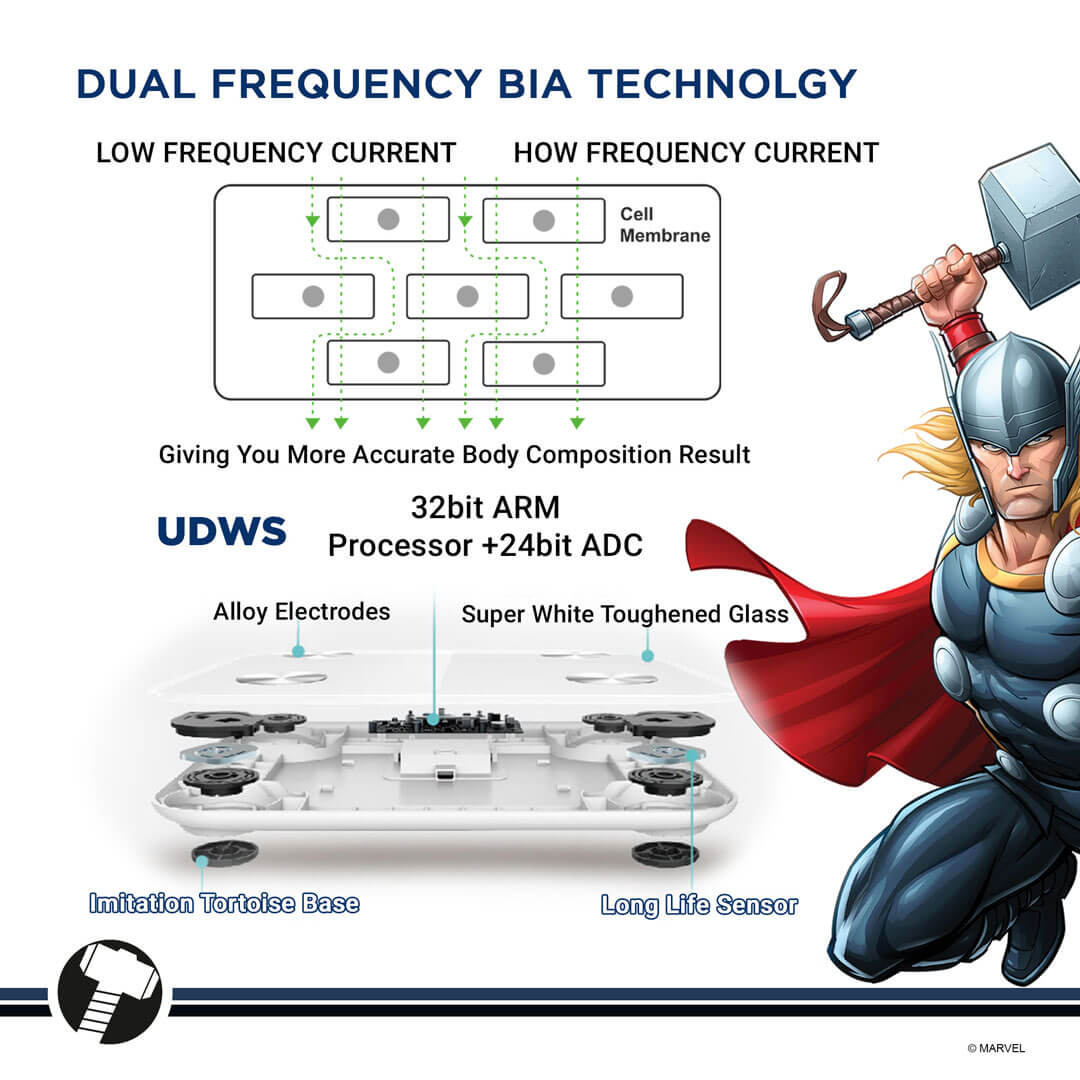 PowerMax X Marvel New Launch BCA-140 Thor Edition Bluetooth Smart Scale