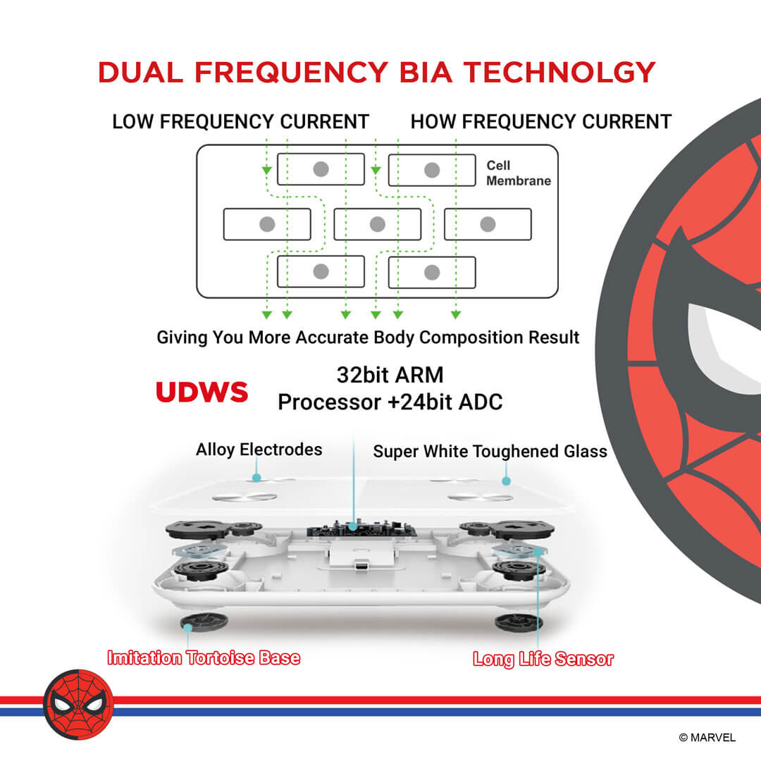 PowerMax X Marvel New Launch BCA-145 Spider-Man Edition Bluetooth Smart Scale