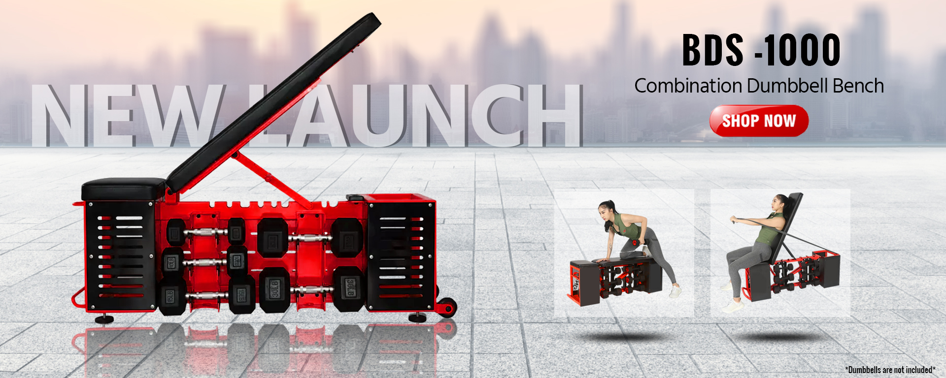 New Launch
