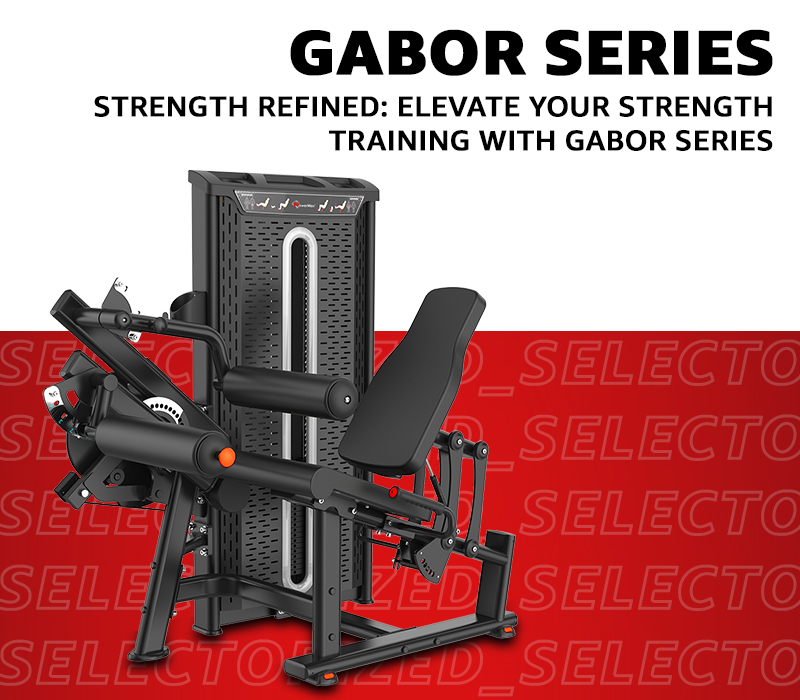 selectorized > gabor series