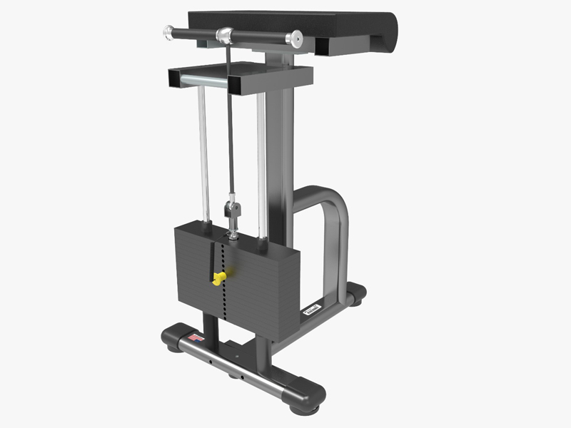 <b>CS-006A</b> Wrist Curl