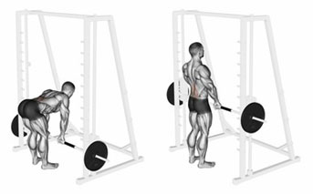 5 BEST MUSCLE BUILDING EXERCISES
