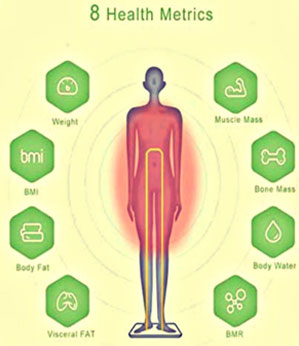 Body Composition Analysis - Renue Health