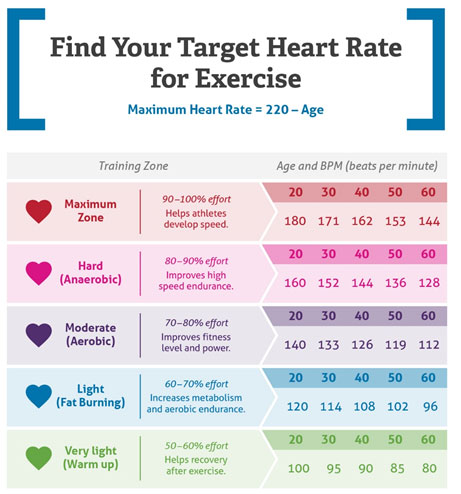 Cardiovascular exercise