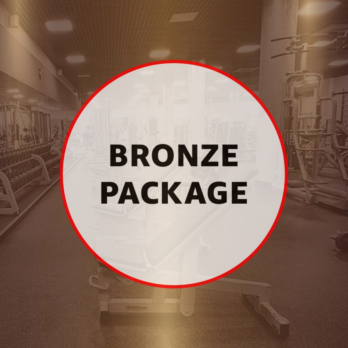 University, College and School Gym - Bronze Package
