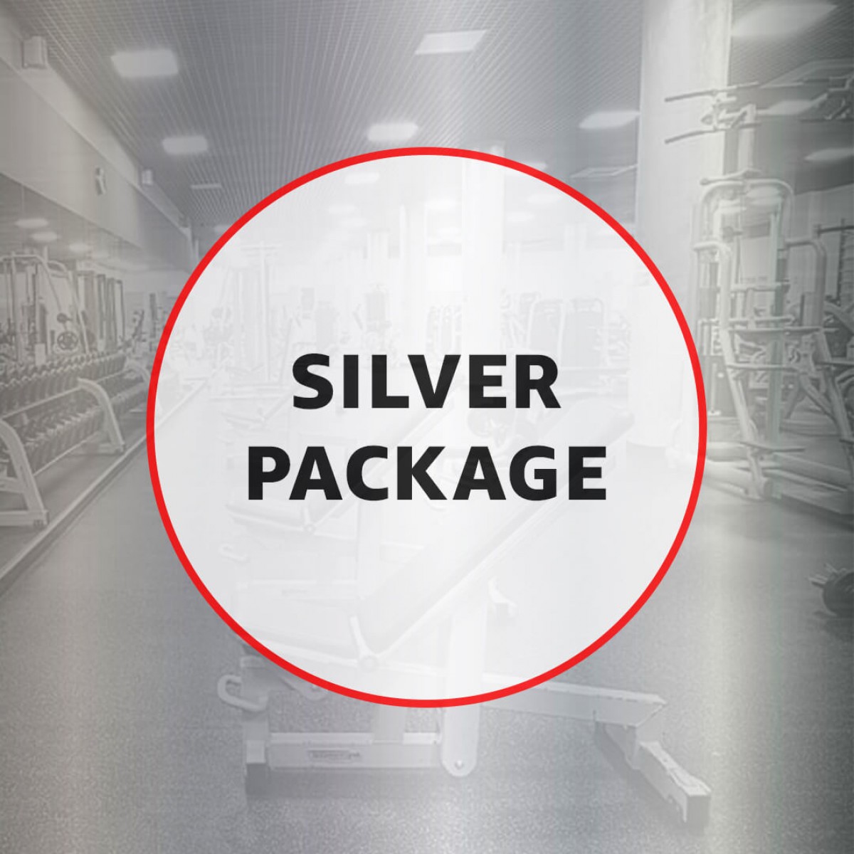 Corporate Office Gym - Silver Package