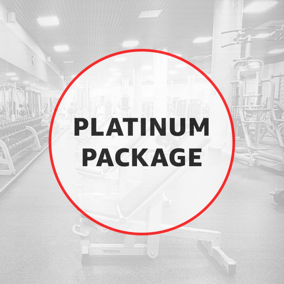 Commercial Gym - Platinum Package