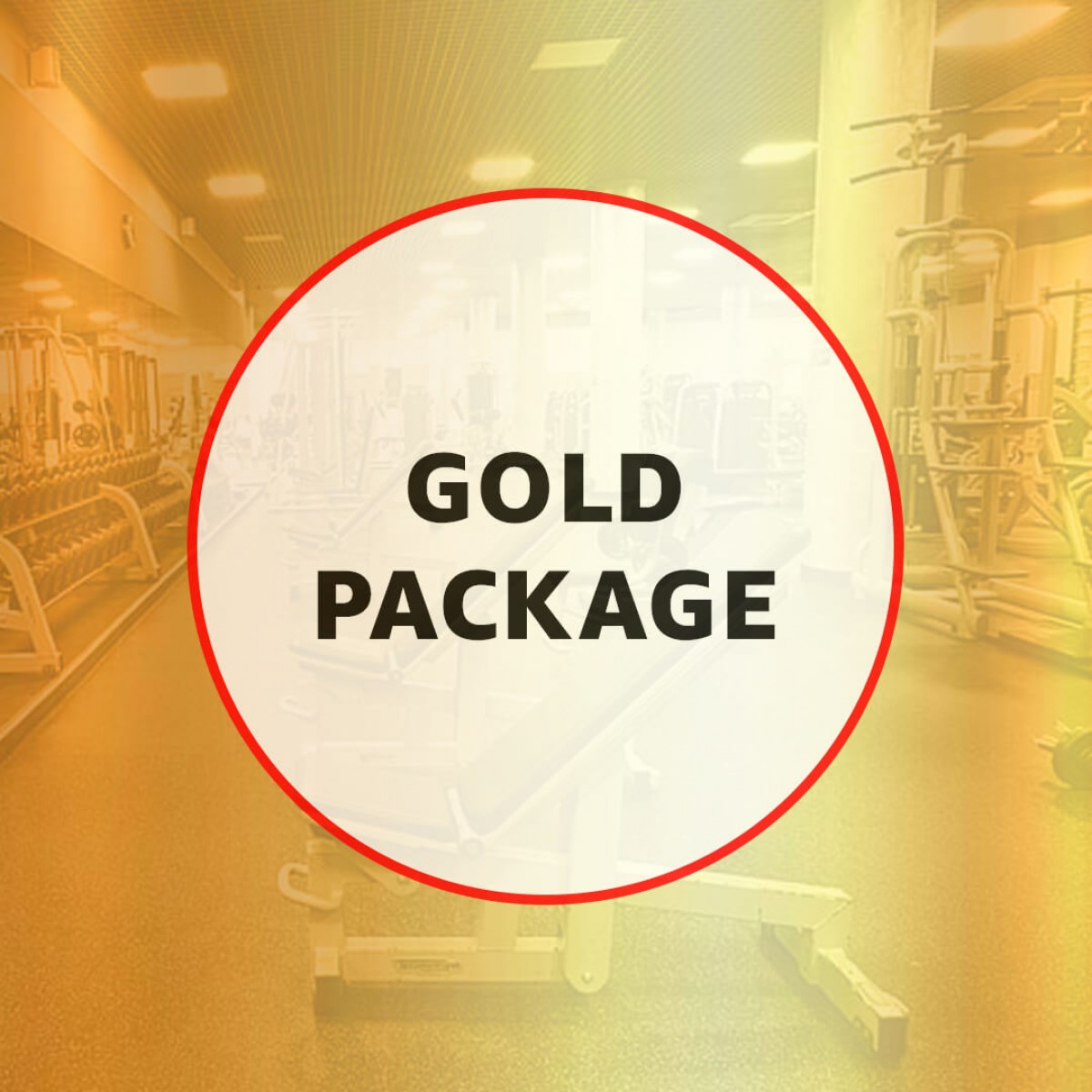 Commercial Gym - Gold Package