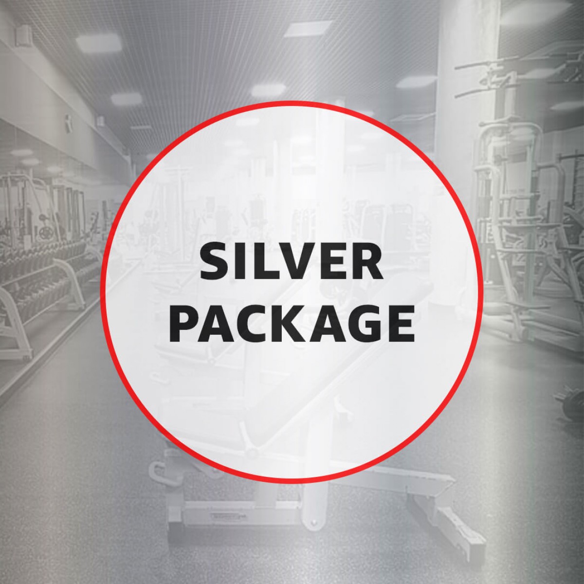 Commercial Gym - Silver Package