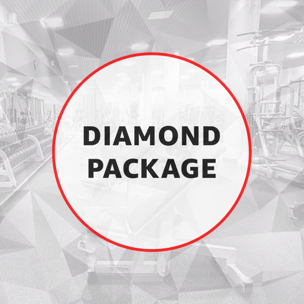 Commercial Gym - Diamond Package