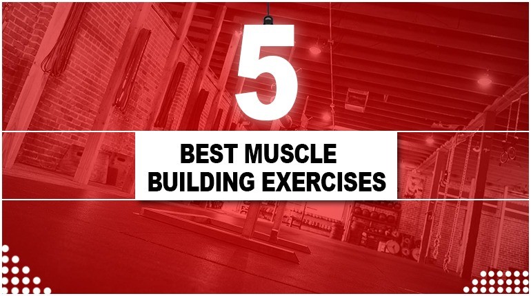 5 BEST MUSCLE BUILDING EXERCISES