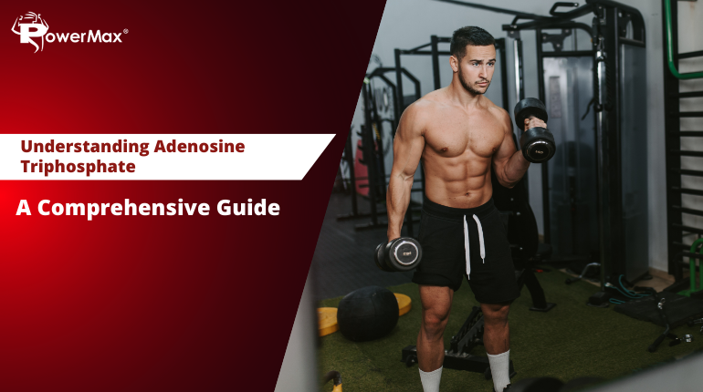 Understanding Adenosine Triphosphate (ATP): A Comprehensive Guide