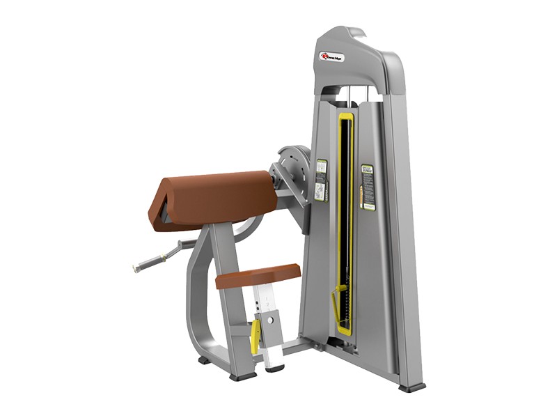 <b>CS-006</b> - Biceps Curl