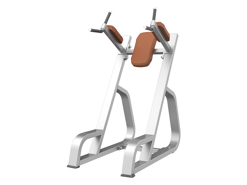 <b>CS-027</b> Vertical Knee Raise