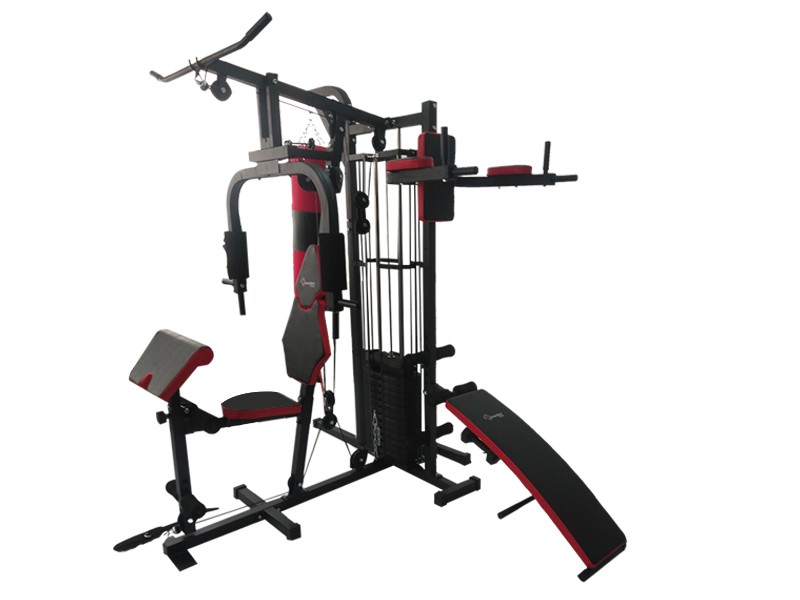 <b>GH-450P</b> Home Gym with Punching Bag